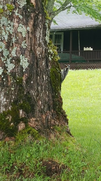 Photos of Coleman State Park