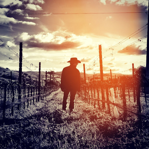 Shokrian Vineyard Gallery - United States