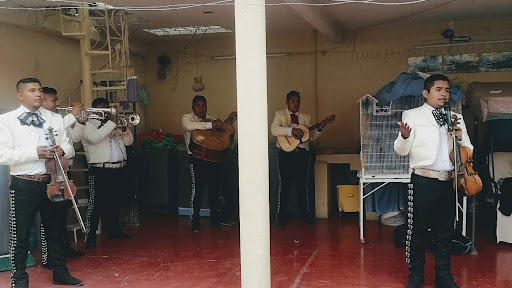 Mariachi juveniil