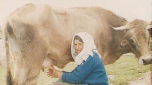 Photo n°8 de MOLATI - Boucherie Charcuterie éthique à Roubaix (Charcuterie)