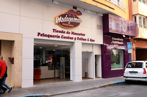 Madagascar Mascotas - Centro