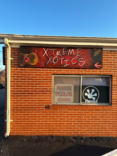 Xtreme Xotics - Visual
