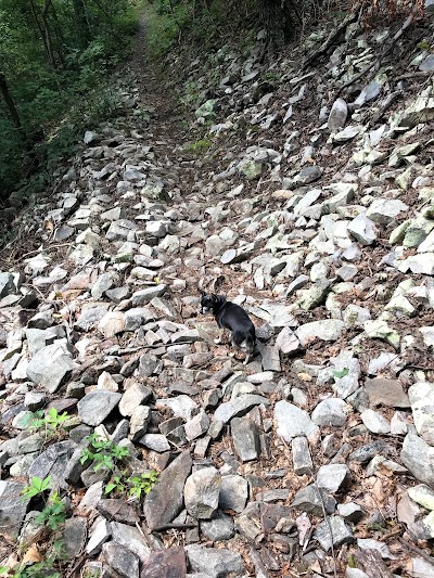 Slacks Trail Parking