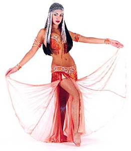 Bailes Diana - Pole Dance, Arabe, Salsa y Bachata 4