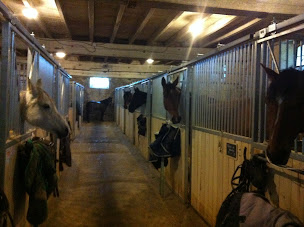 Photo n°27 de ÉCURIES DE LA VILLE AU BOIS à Saint-Hilliers (Écurie)