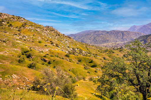 The Sierra Gallery & Boutique Gallery - United States