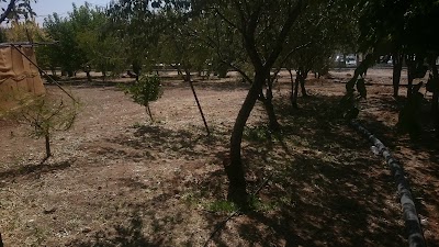 Photos of Abu-Ali Sina Hospital