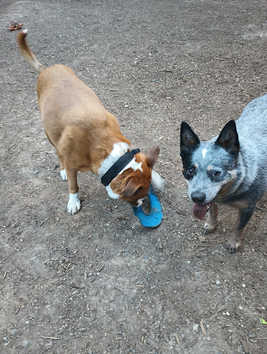 Brooktails Pet Care - Thumbnail