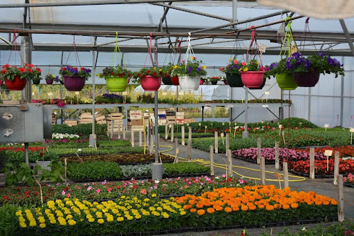 Photo de Esprit Jardin à Noyers-sur-Cher (41140)