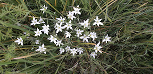 Photo n°3 de Zen Energie à Pineuilh (Praticien de médecine alternative)