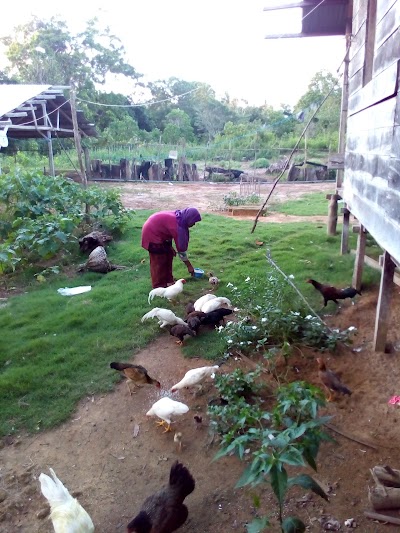 Photos of SD NEGERI 1 KOBADANGAR