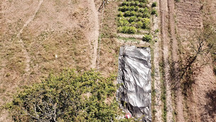 Photo n°2 de Nature'lich à Betschdorf (Association bénévole)