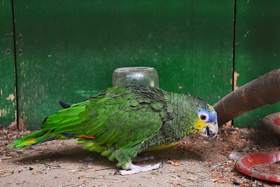 Photos of Grădina Botanică a Muzeului Naţional de Etnografie şi Istorie Naturală