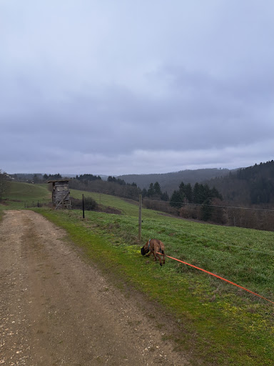 Wollmerschieder Grenzweg - Thumbnail