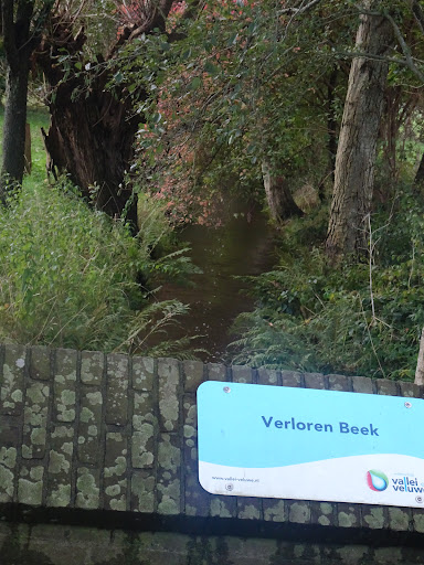 Verloren Beek - Thumbnail