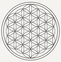 Photo n°1 de Agnès Osmandjian Ostéopathe DO, Biokinergie Clamart gare 92 à Clamart (Praticien de médecine alternative)