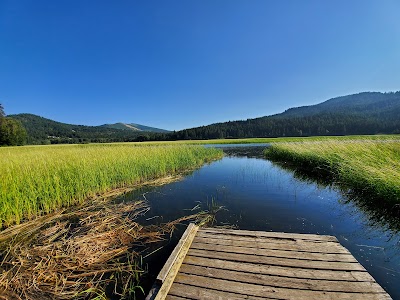 Benewah Lake Campground