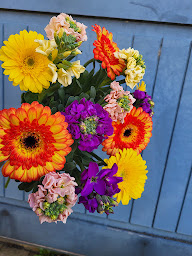 Photo n°11 de LM Fleurs à Ernée (Fleuriste)
