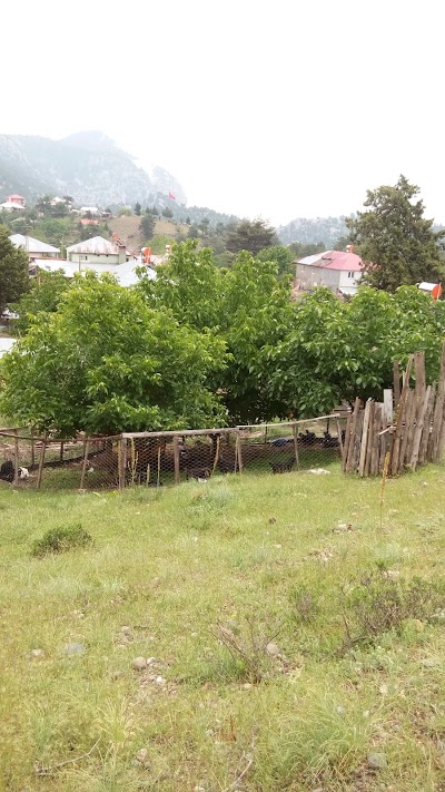Photos of AYSALLAR MALİKANESİ