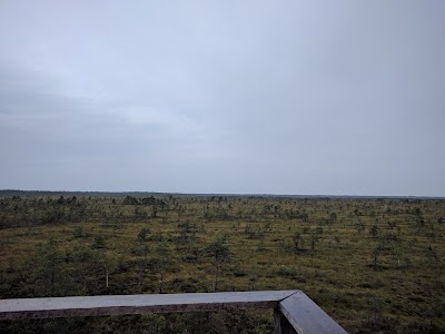 Photos of Kaisma Suurj&auml;rve matkarada