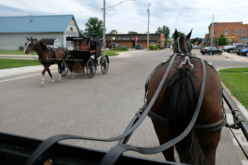 Buggy Lane Tours - Thumbnail