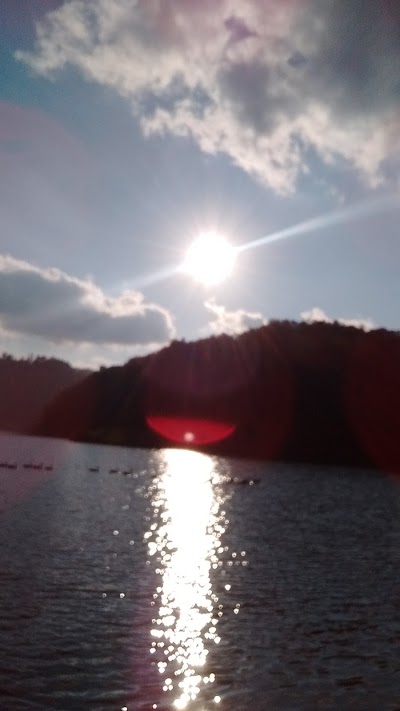 Photos of Curtisville Lake and Campground