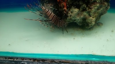 Photos of Sahel Aquarium