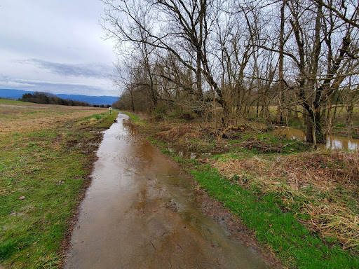 Tusculum Trail Trailhead - Thumbnail