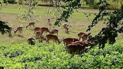 Photos of Park Holedn&aacute;