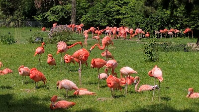 Photos of Cologne Zoo