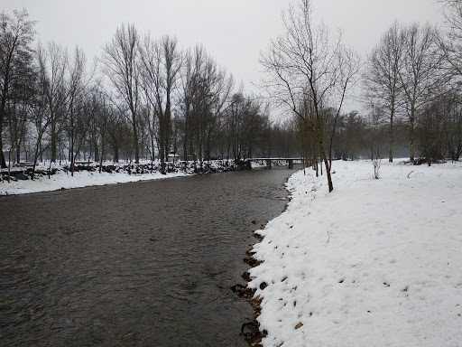 Parque Braña de Tintores - Thumbnail