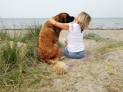 Foto von WIFF! Gesundheit und Fellpflege