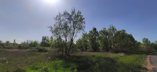 Forêt Le Machet - Thumbnail