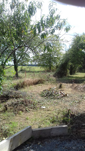 Photo de Sportclean à Reignac-sur-Indre (37310)