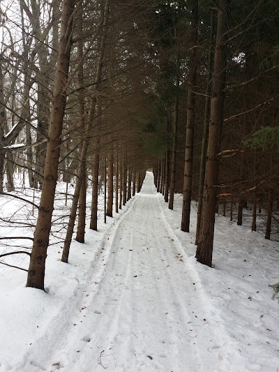 Photos of Falls Reserve Conservation Area