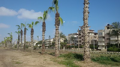 Photos of سوق جمصة التجاري