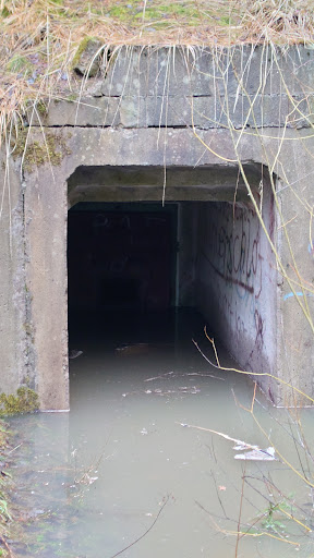 Heidefläche Hildburghäuser Stadtwald - Visual