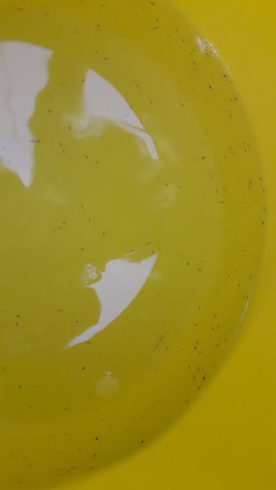 Photos of LABORATORIO REYDAMAR 1
