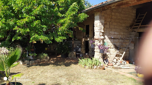 Photo de Mas de la Rivoire B&B à Villevieille (30250)