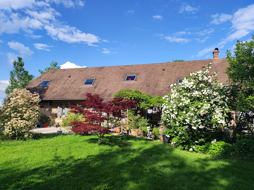 Photo de La Maison de Luna à Sagy (71580)