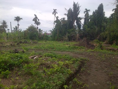 Photos of Kaplingan Sepakat Damai
