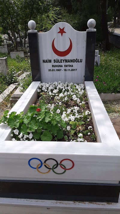 Naim Suleymanoglu Kabri