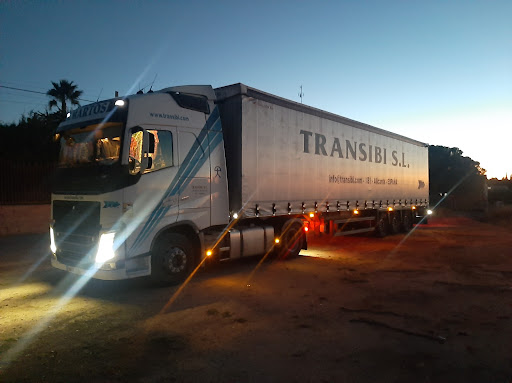 TransIbi - Thumbnail