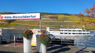 Photos of K&ouml;ln - D&uuml;sseldorfer Deutsche Rheinschiffahrt AG