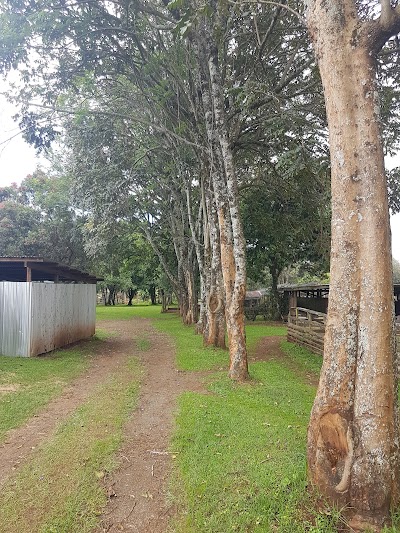 Photos of Sunrise Acres