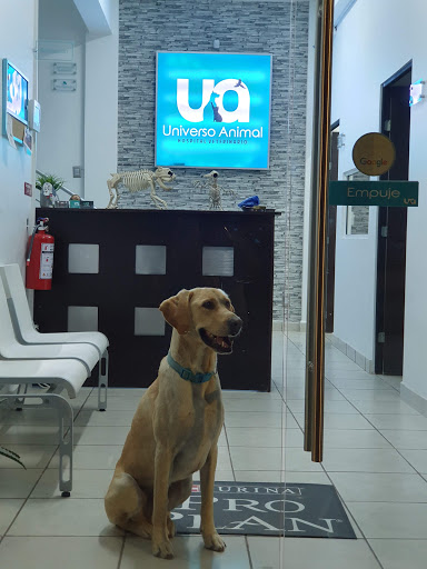 Hospital Veterinario Universo Animal
