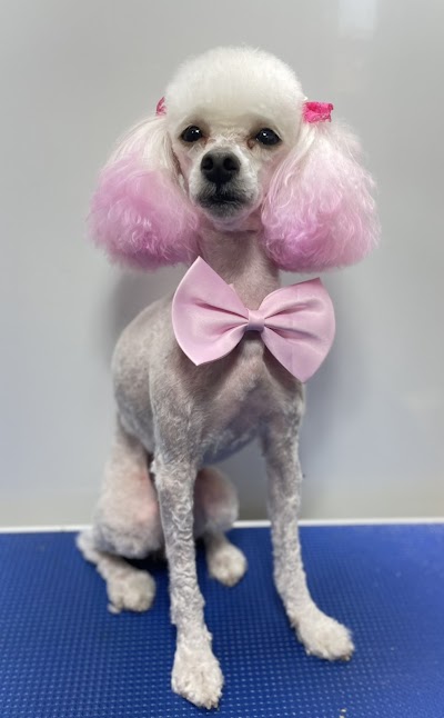 Lovely Pet Salon