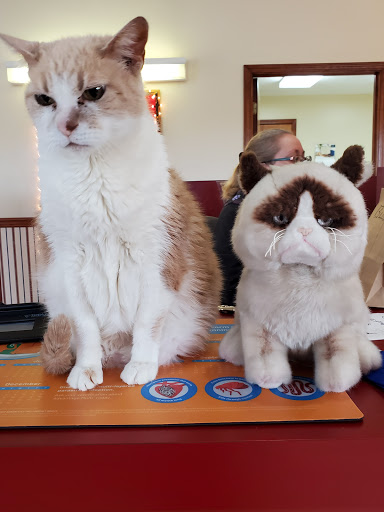 Animal Hospital of Richmond - Thumbnail