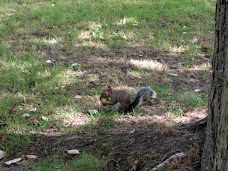 Inwood Park london