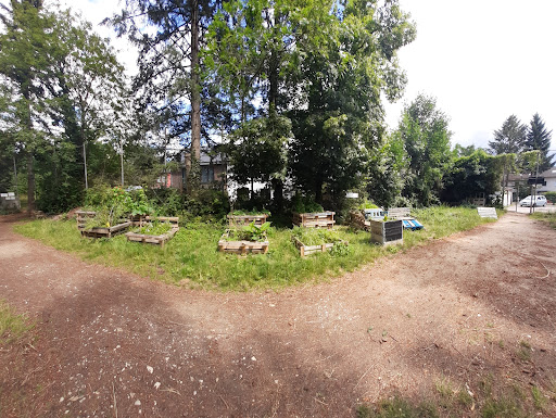 Ostgarten Brühl - Thumbnail